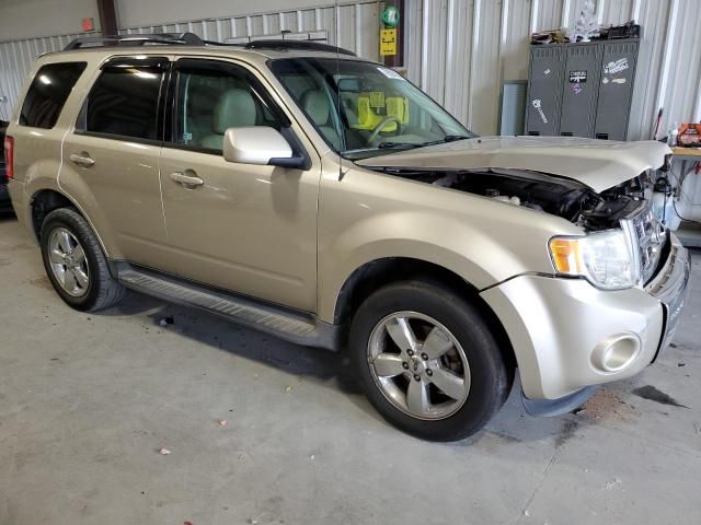 2011 Ford Escape Limited