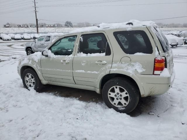 2004 Ford Escape Limited