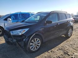 Salvage cars for sale from Copart Hillsborough, NJ: 2019 Ford Escape SEL