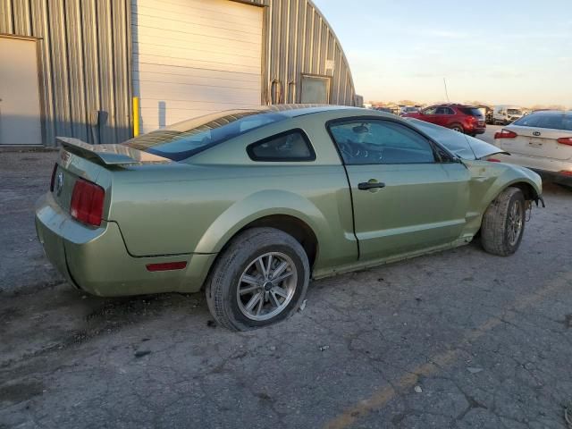 2005 Ford Mustang