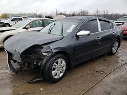 2011 Nissan Altima Base en venta en Louisville, KY