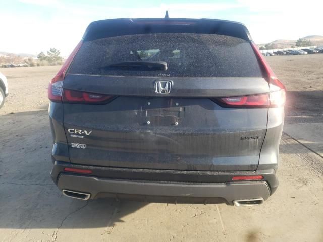 2024 Honda CR-V Sport