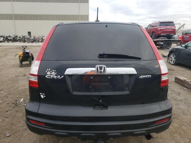 2010 Honda CR-V EXL