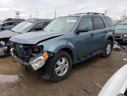 2010 Ford Escape XLT for sale in Chicago Heights, IL
