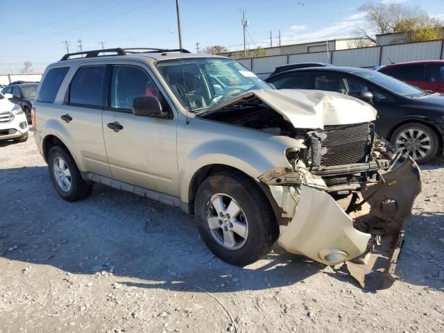 2010 Ford Escape XLT