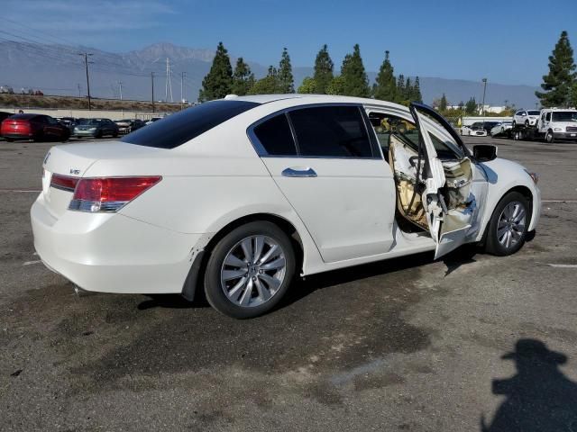 2011 Honda Accord EXL