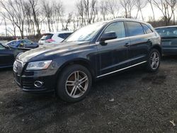 Audi salvage cars for sale: 2013 Audi Q5 Premium Plus