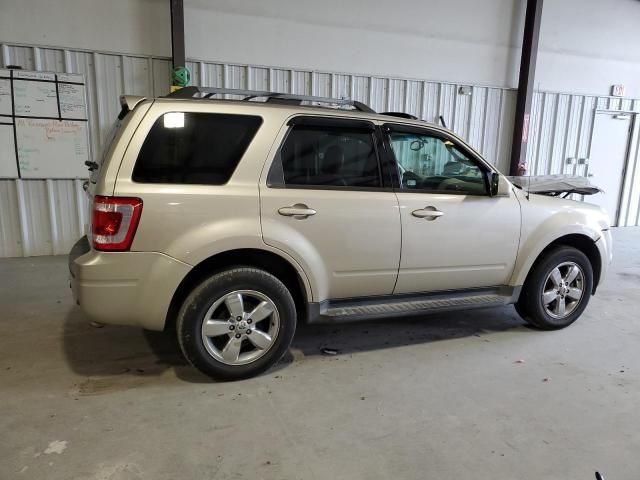 2011 Ford Escape Limited