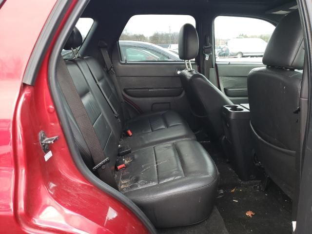 2009 Ford Escape Limited