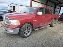 Dodge RAM 1500 Vehiculos salvage en venta: 2009 Dodge RAM 1500