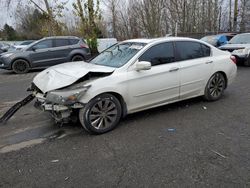 Honda salvage cars for sale: 2013 Honda Accord EXL