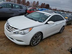 Hyundai salvage cars for sale: 2013 Hyundai Sonata SE