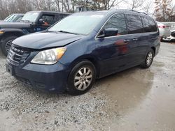 Honda Odyssey EX salvage cars for sale: 2009 Honda Odyssey EX