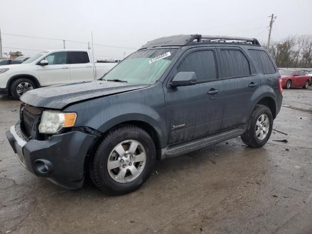 2010 Ford Escape Hybrid