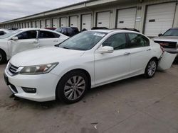 2014 Honda Accord EXL for sale in Louisville, KY