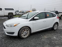 Ford Focus SE salvage cars for sale: 2018 Ford Focus SE