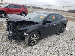 Nissan salvage cars for sale: 2016 Nissan Maxima 3.5S