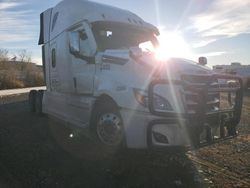 Freightliner Cascadia 126 salvage cars for sale: 2023 Freightliner Cascadia 126