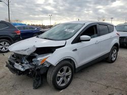 Ford Vehiculos salvage en venta: 2014 Ford Escape SE