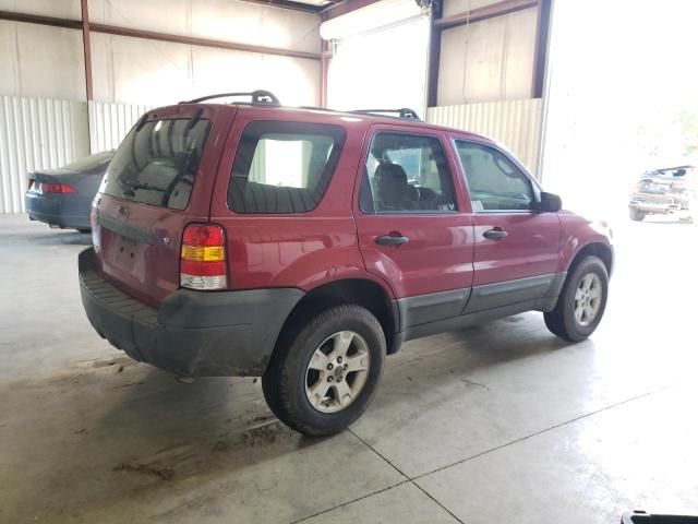 2006 Ford Escape XLT