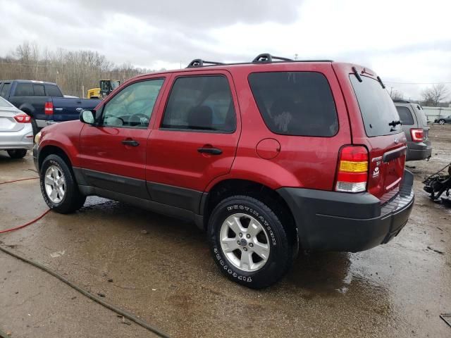 2005 Ford Escape XLT