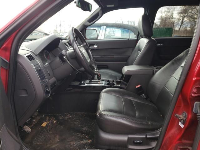 2009 Ford Escape Limited