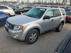 Ford Vehiculos salvage en venta: 2011 Ford Escape XLT