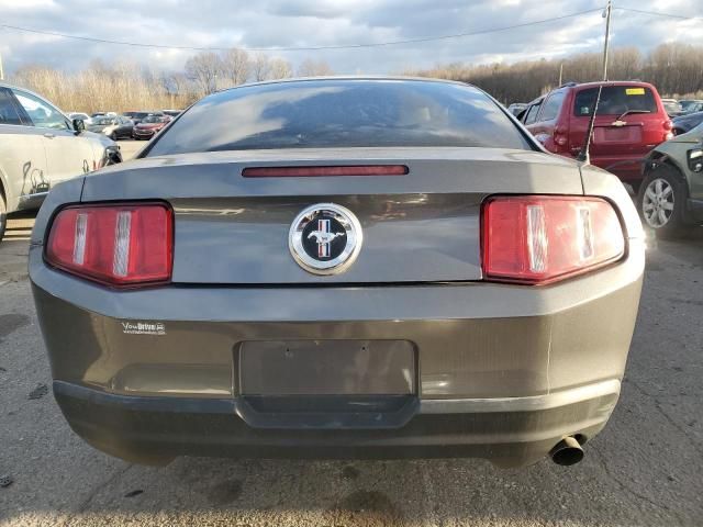 2010 Ford Mustang