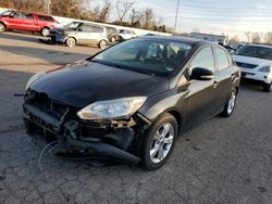 Ford Focus SE salvage cars for sale: 2014 Ford Focus SE