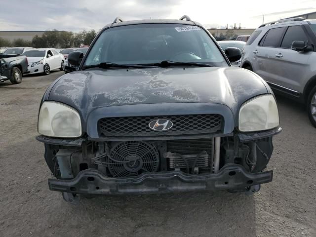 2004 Hyundai Santa FE GLS