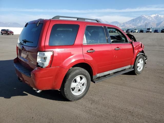 2009 Ford Escape XLT