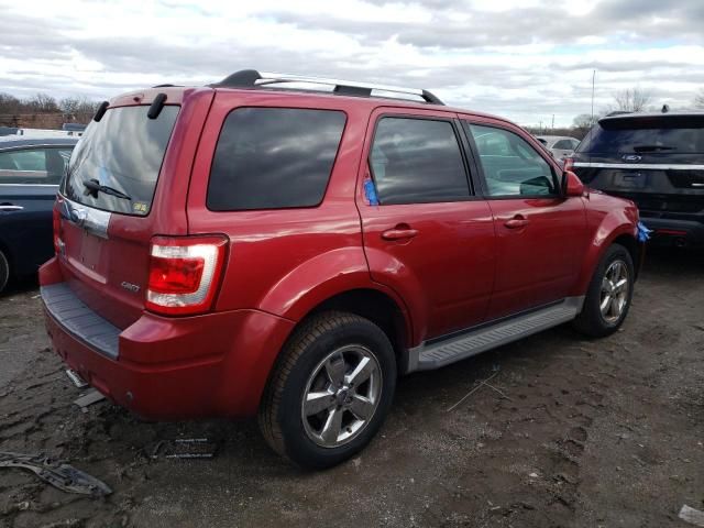 2009 Ford Escape Limited