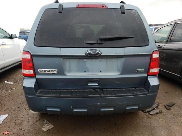 2010 Ford Escape XLT