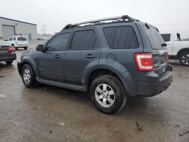 2010 Ford Escape Hybrid