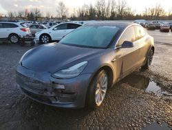 2019 Tesla Model 3 en venta en Portland, OR