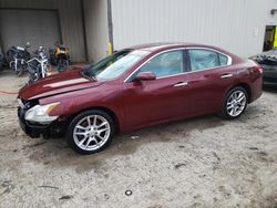 Nissan Maxima s Vehiculos salvage en venta: 2010 Nissan Maxima S