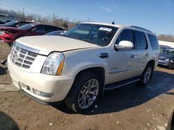 2013 Cadillac Escalade Hybrid for sale in Louisville, KY
