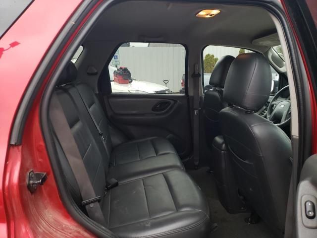 2005 Ford Escape XLT