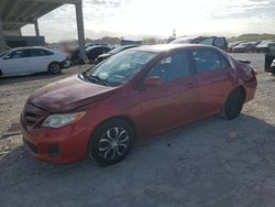 Salvage cars for sale from Copart West Palm Beach, FL: 2011 Toyota Corolla Base