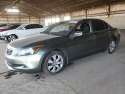 Honda Accord salvage cars for sale: 2008 Honda Accord EX