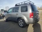 2013 Honda Pilot EXL