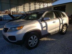 KIA Sorento salvage cars for sale: 2012 KIA Sorento Base