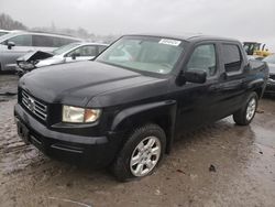 Honda Ridgeline salvage cars for sale: 2006 Honda Ridgeline RTL