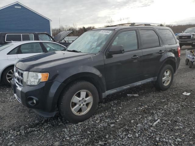 2011 Ford Escape Limited