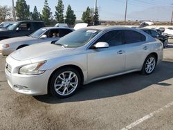 Nissan Maxima salvage cars for sale: 2012 Nissan Maxima S