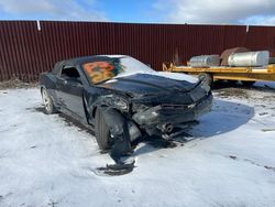 Chevrolet Camaro salvage cars for sale: 2015 Chevrolet Camaro LT