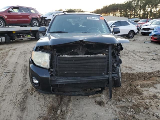 2008 Ford Escape Limited