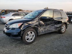 Honda crv Vehiculos salvage en venta: 2010 Honda CR-V EXL