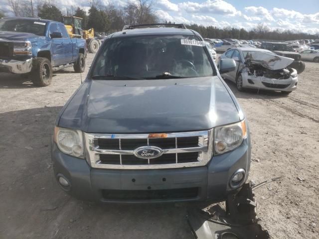 2011 Ford Escape Limited