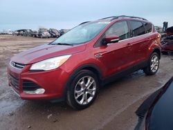 Ford Escape sel salvage cars for sale: 2013 Ford Escape SEL